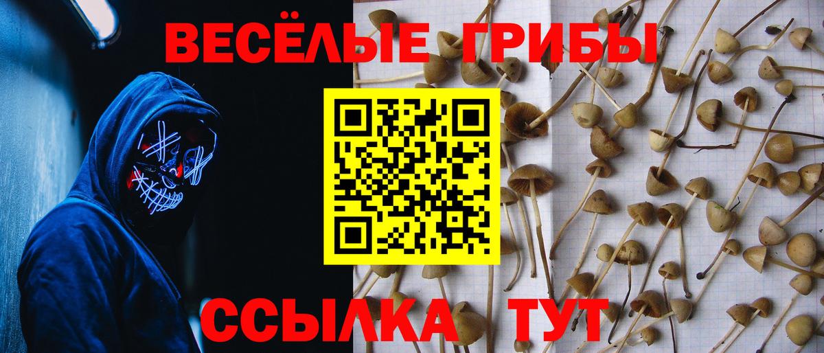 Галлюциногенные грибы мицелий  Вход с VPN  Фролово 