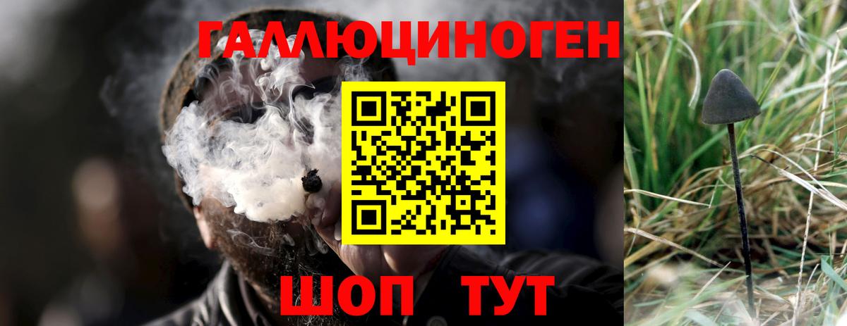 Галлюциногенные грибы ЛСД Фролово